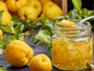 La plantación de membrillo japonés orgánico recién creada ofrece