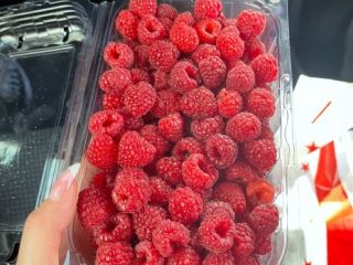 Vendo frambuesas de calidad, tanto frescas como congeladas, para