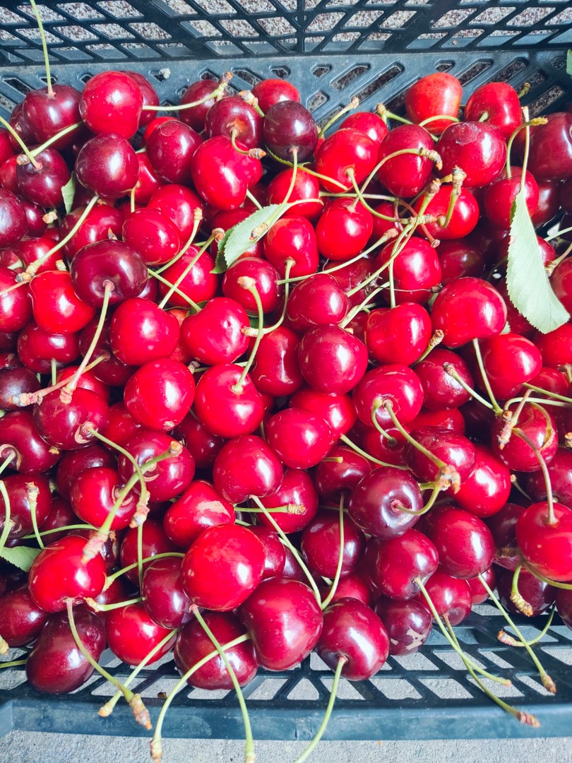 Hola, me gustaría colaborar con un comprador de cerezas