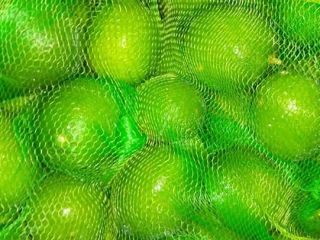 Limonka sin semillas de Egipto, de alta calidad