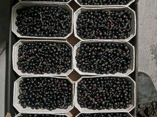Venderé una barra transversal negra, 500 g, una sartén