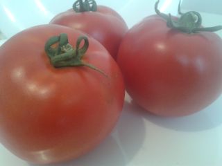 Venderé tomates de campo: redondos y oblongos, el precio
