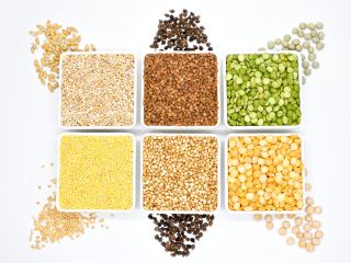 PRODUCCIÓN PROPIA – KAMPOL RUSIEC Ofrecemos granos de alta