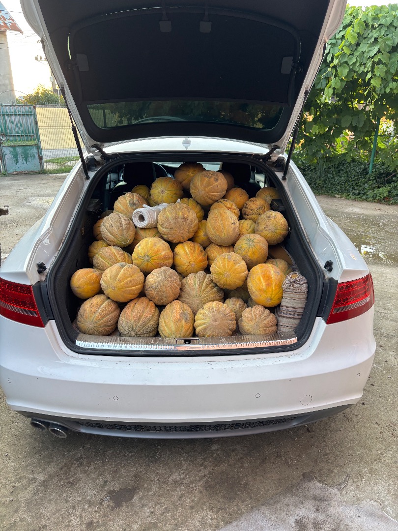 Productor de melones, el precio se determina por mensaje o por teléfono al [número de teléfono], también puedo ofrecer transporte
