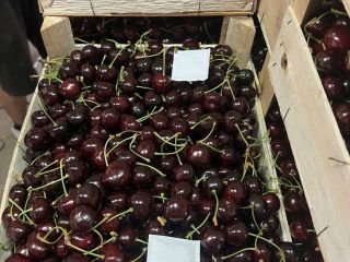 Hola, actualmente tenemos 50 toneladas de cerezas dulces frescas