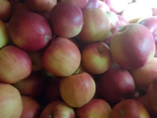 Se venden manzanas Idaret y Jonagoret. Están en buen