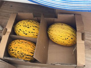Estimados amigos de todo el mundo/ queremos vender nuestro
