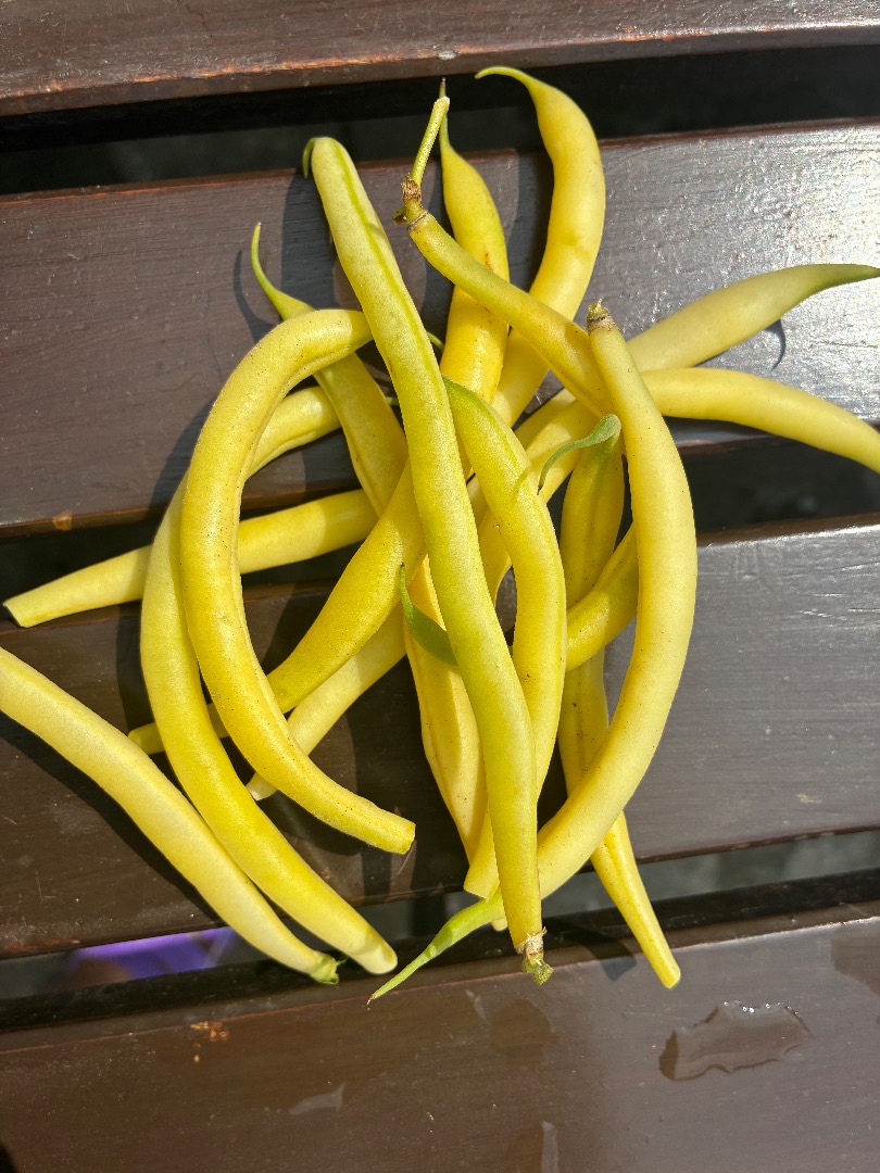 Se venden diversas cantidades de frijoles