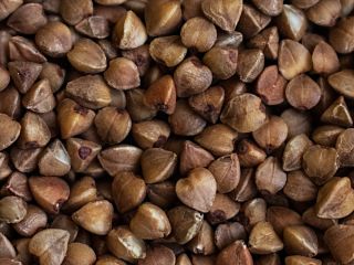 Nuestro trigo sarraceno proviene de una granja donde garantizamos