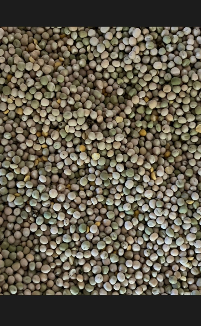 Venderé guisantes en grandes cantidades