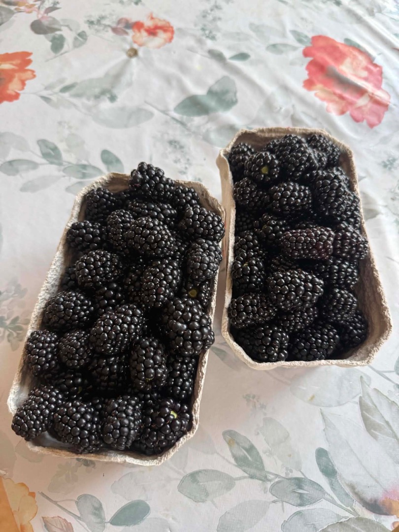 Hola, tengo moras a la venta, por favor contáctenme