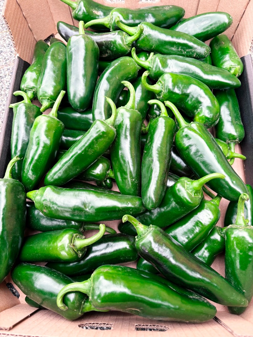 Jalapeños frescos a la venta