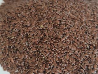 Agrotime Ltd. prevé ofrecer aproximadamente 600 toneladas métricas de