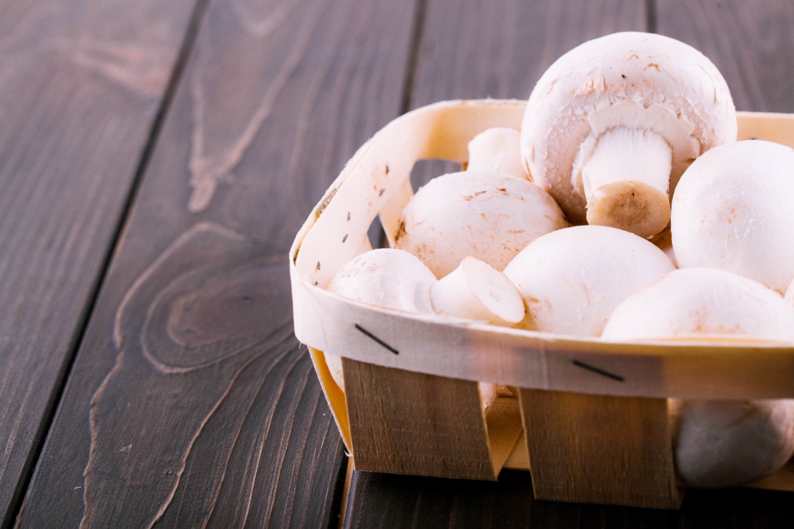 Ofrezco setas blancas y marrones frescas al por mayor