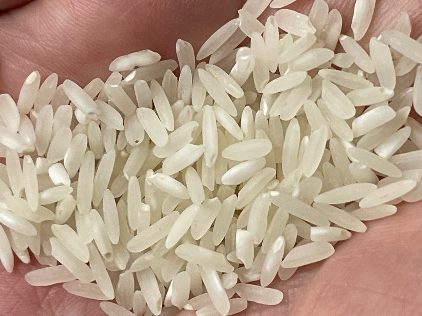 Arroz blanco de grano largo con un 5% de granos partidos, en saco de 50 kg