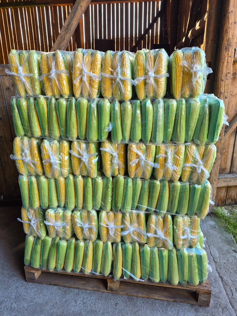 Maíz dulce en venta