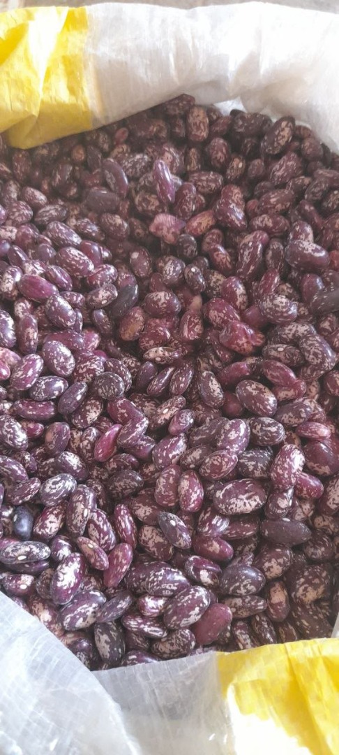 Buscamos compradores mayoristas de frijoles de Uzbekistán