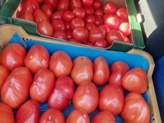 Vendo verduras frescas y sabrosas: tomates, pepinos, calabacines.