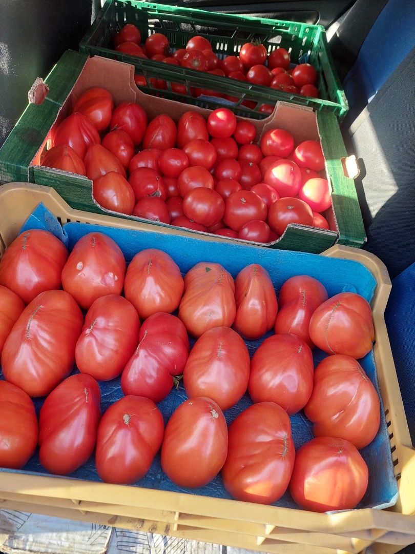 Vendo verduras frescas y sabrosas: tomates, pepinos, calabacines