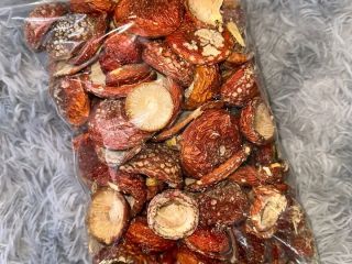 Vendo setas boletus como las de la foto.