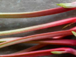 Vendo ruibarbo de la variedad líder, cortado por ambos