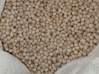 Garbanzos en sacos de 50 kg, seleccionados de 800