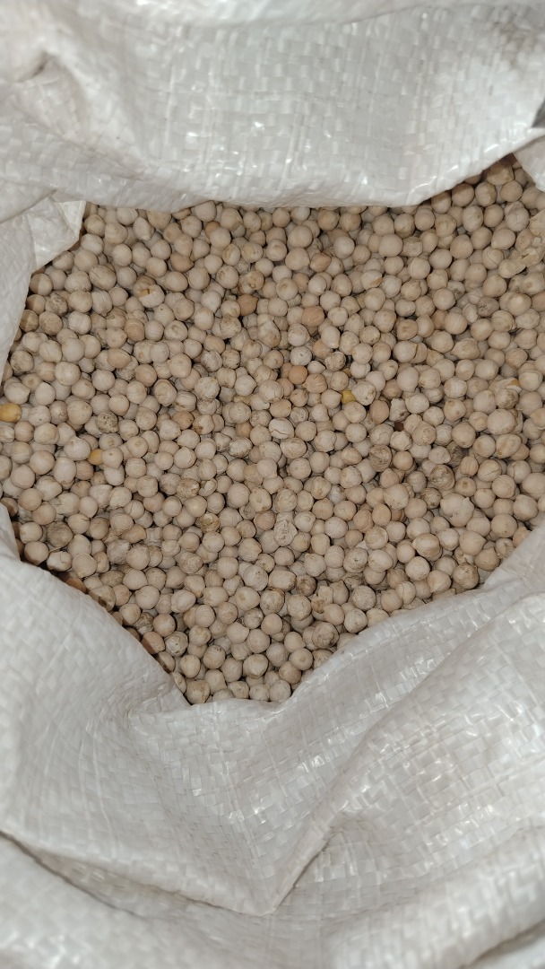 Garbanzos en sacos de 50 kg, seleccionados de 800 kg en las rocas