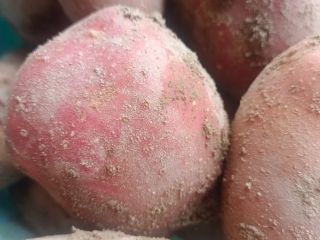 Venderé papas Bella Rosa y Redsonia por un total