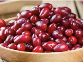 Les invito a adquirir bayas de cornejo. Este fruto