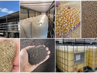 PRODUCTOS AGRÍCOLAS DE UCRANIA – COLABORACIÓN CONTINUA Buscamos importadores