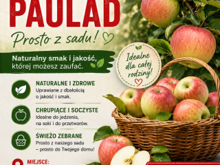 Ofrezco manzanas Paulad frescas, jugosas y crujientes, perfectas para