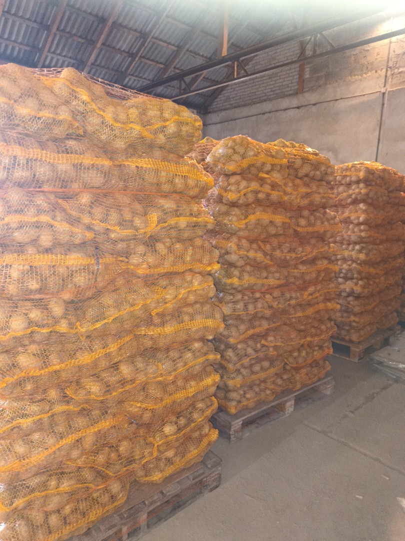Papas Soraya, calibre 4+, cantidad de 1 a 6,5 toneladas