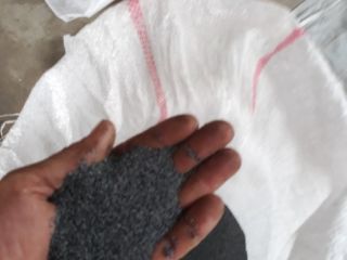 Semillas de amapola azul listas para usar, cantidad 4