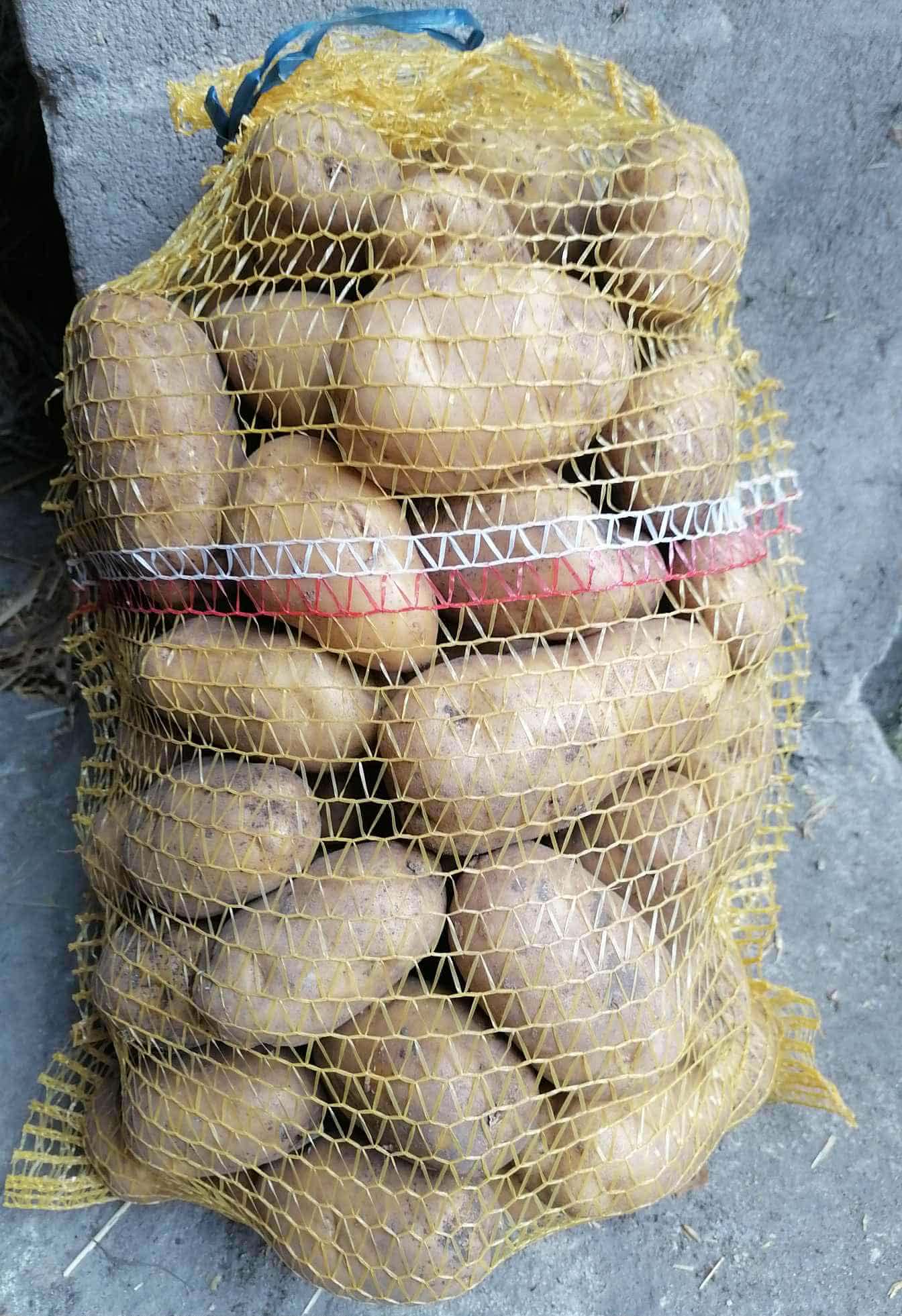 Hola, vendo patatas comestibles de la variedad Gala