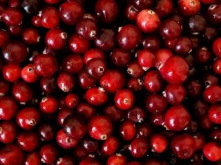 Arándanos rojos de jardín de alta calidad. Realizamos envíos