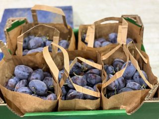 Cajas de madera de 10 kg: ciruelas Stanley frescas