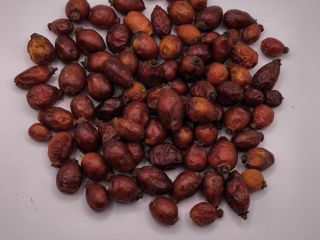 Ofrecemos escaramujos en diferentes presentaciones: enteros, con cáscara y