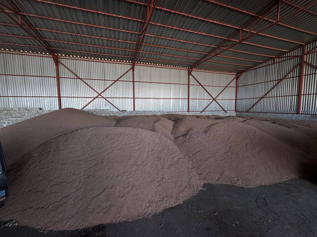 Indicadores de calidad: Contenido de humedad, %, no más de — 14,0; Contenido de materia extraña, %, no más de — 1,0; Contenido de materia mineral, %, no más de