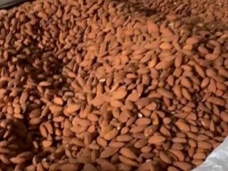 Buenos días. Ofrezco venta al por mayor de almendras