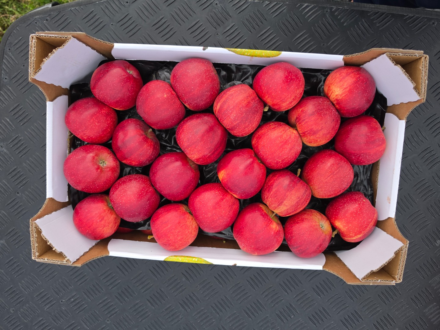 Vendemos manzanas Gala Golden Pinova Jonaprince Jonagored Idared Najdared Ligol Champion Boscop y peras Conferences