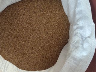 Ofrecemos semillas de alfalfa griega de alta calidad directamente