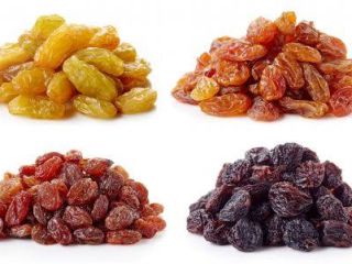 PASAS PREMIUM — VENTA AL POR MAYOR Y EXPORTACIÓN