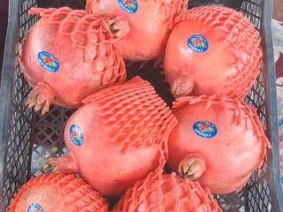 Granada fresca para exportación desde Uzbekistán, empaque en caja