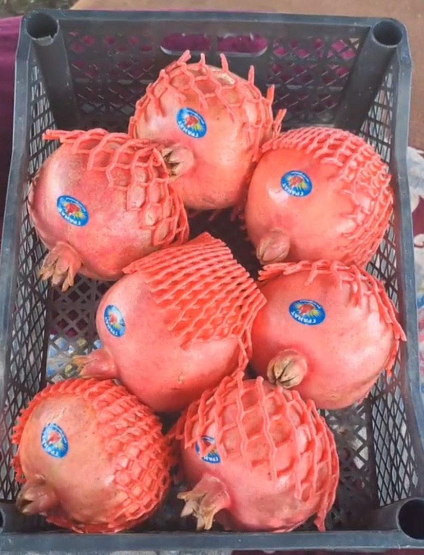 Granada fresca para exportación desde Uzbekistán, empaque en caja de plástico y cartón con etiqueta