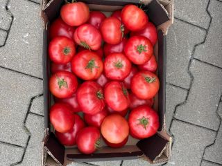 Tomate frambuesa con una ramita más información priv