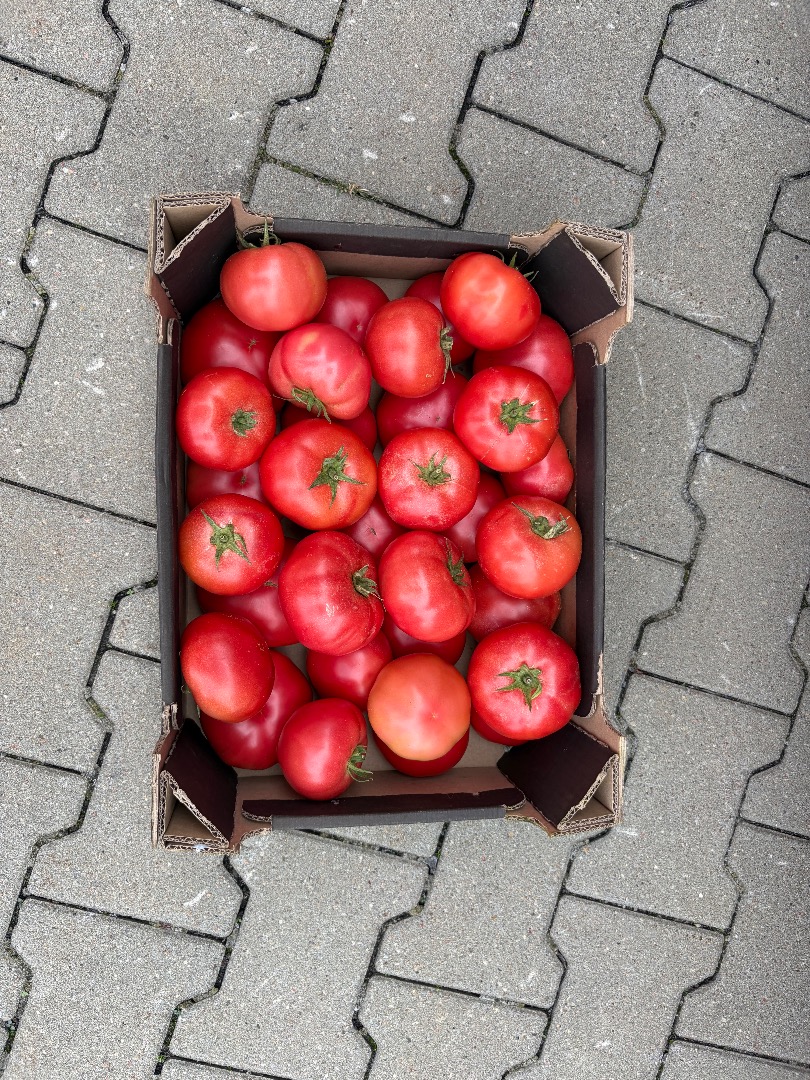 Tomate frambuesa con una ramita más información priv