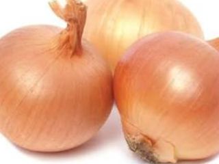 Necesitamos cebollas para el mercado alemán: 3 camiones, 23