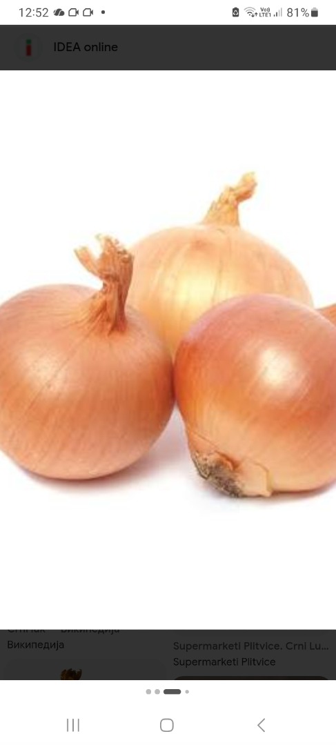 Necesitamos cebollas para el mercado alemán: 3 camiones, 23 toneladas al mes