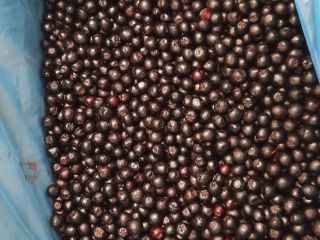 Aronia congelada, clase 1 - orgánica y convencional. Cantidades