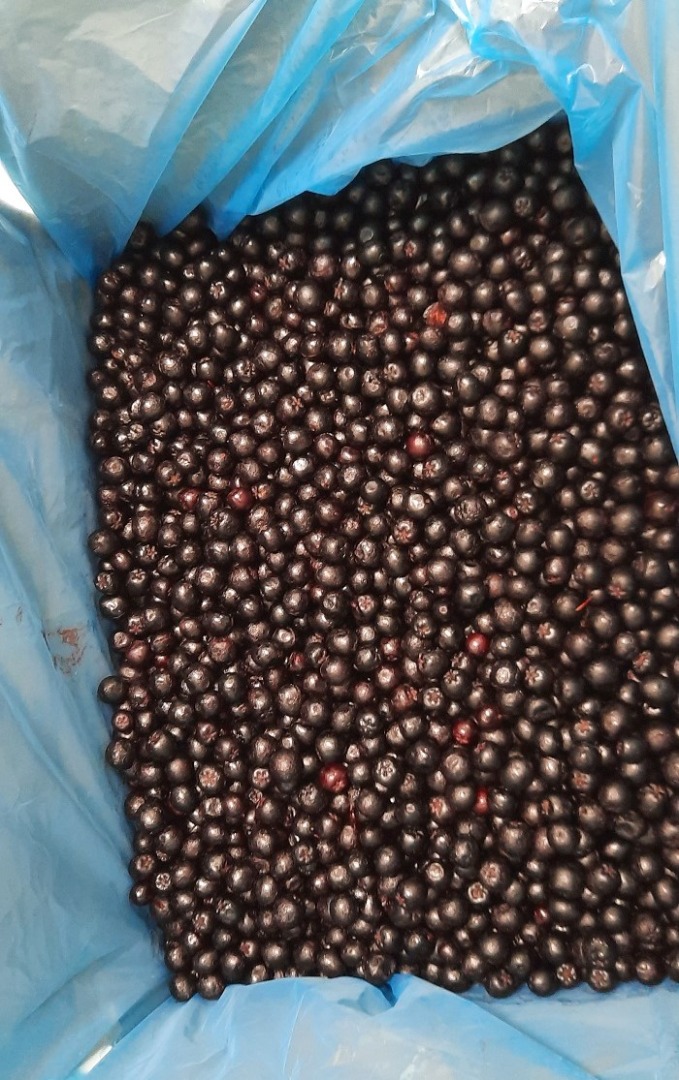 Aronia congelada, clase 1 - orgánica y convencional